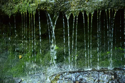 DSC_2764 (Large).JPG